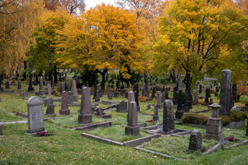 Cemetery in autumn with green grass and golden trees in the background