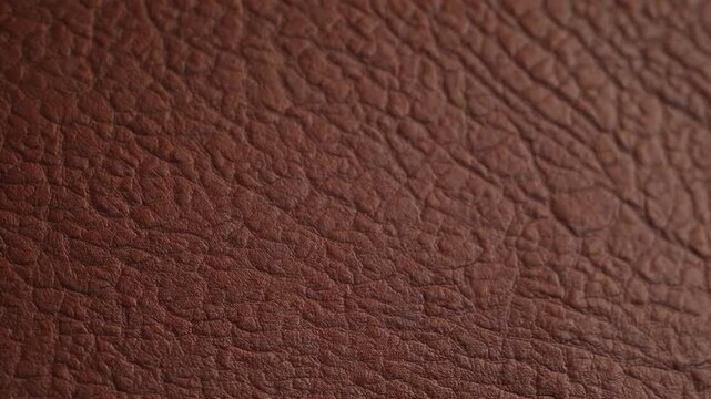 textured backdrop exhibiting brown, aged leather appearance with natural grain and rough, unrefined character