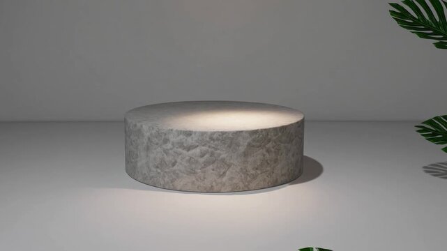 Unoccupied Mineral Display Platform for Exhibiting Items with Exotic Foliage.