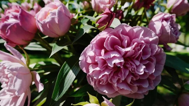 Floral Composition in the Outdoor Garden