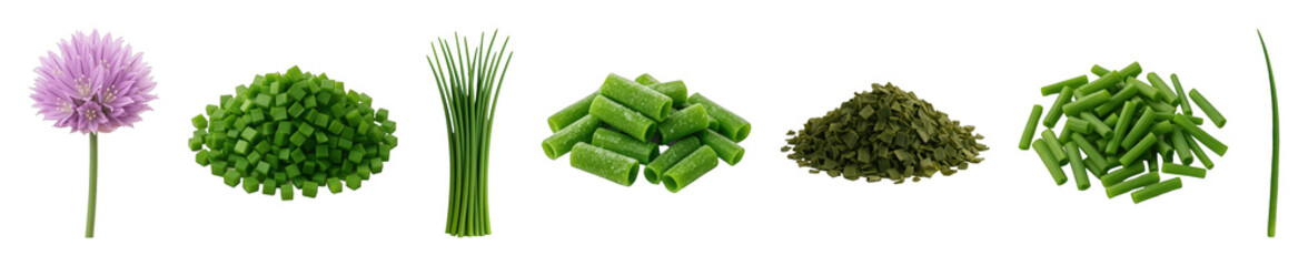 Fototapeta premium Chives set including flower, whole stalks, diced, fresh cut, frozen, dried, and a single stalk isolated. Culinary herb collection.