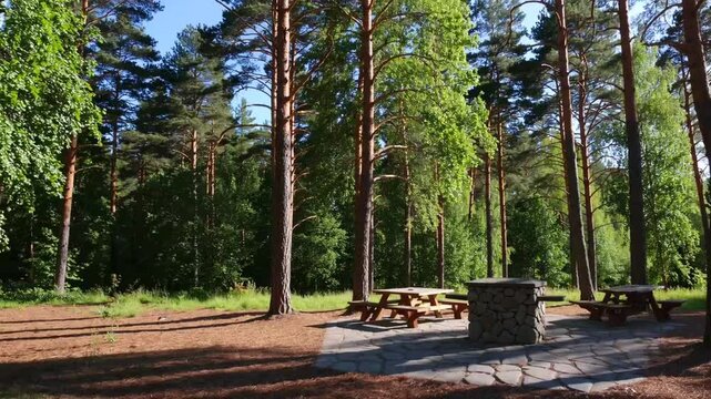 outdoor dining and recreation space equipped with barbecue facility nestled within wooded area during the warm season
