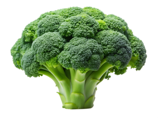 Fresh green broccoli head on white background isolated on a transparent background