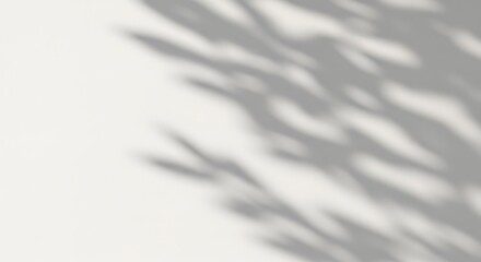 The delicate dance of dappled sunlight casting organic leafy shadows across a clean white wall creating a serene natural backdrop	