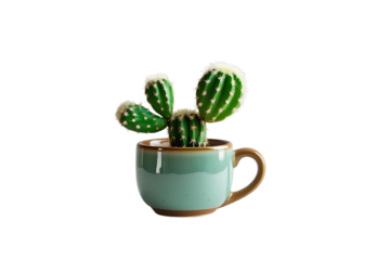 a cactus, set in a teal cup, the image is designed to be impressive, set against a white backdrop, with a simple style and with no background.
