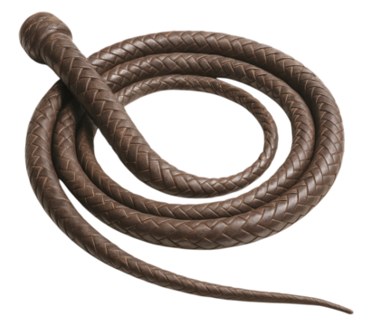A long, coiled brown bullwhip made of braided leather, featuring a textured plait and a handle knob, Isolated on Transparent and White Background