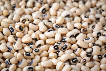 Group of black eyed or Cowpea beans