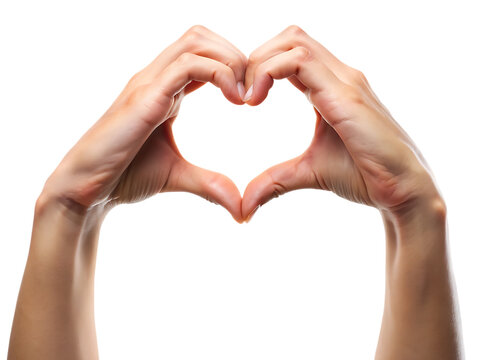Two hands forming a heart shape on white background isolated on a transparent background