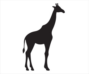 Simple black silhouette of a giraffe standing tall, ideal for wildlife, nature, and animal-themed designs. Perfect for educational, conservation, or animal-related projects in black-and-white style.