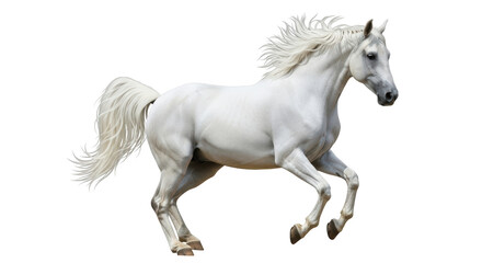 Isolated Bamboo Flute