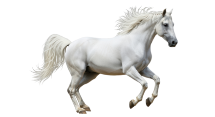 Isolated Bamboo Flute