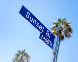 Close-up of a Sunset Blvd sign with Palm trees in Los Angeles, CA.