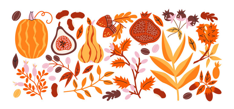 Set of autumn botanical stickers. Pumpkin, fig, pomegranate, berries, seeds, colorful leaves and branches. Seasonal plants and natural elements for fall decoration.Isolated vector carton illustrations