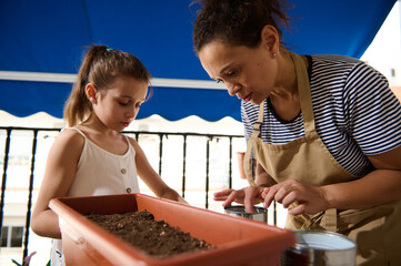 Mother and Child Enjoy Gardening Together on a Sunlit Balcony