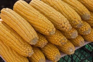 Freshly harvested corn displayed at a local market in the afternoon sun