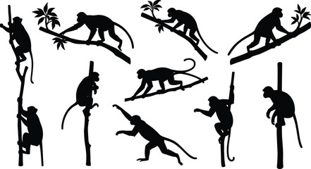 Monkey silhouettes walking on branches, climbing trees, and jumping in jungle environment – vector collection of wild tropical animal poses