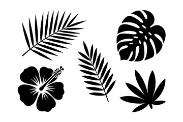 Tropical Floral Silhouette Collection Featuring Palm Fronds Monstera Leaf Hibiscus Flower and Exotic Foliage Design