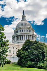 Fototapeta premium Capitol Hill seen through lush greenery. Iconic dome under blue sky.