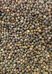 Dried black pepper grains pile top view background texture.Food, healthy lifestyle, popular spices concept.
