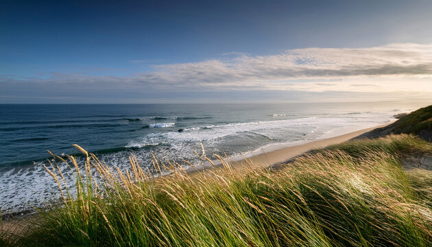 peaceful b roll footage showcasing the gentle sway of coastal grasses against a backdrop of calm sea waves