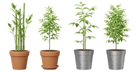 Obraz premium Potted plants set against white background