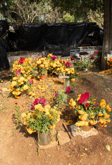 Graves decorated with cempasúchitl flowers on the Day of the Dead in Mexico.