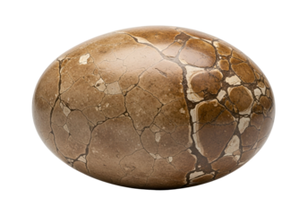 An oval-shaped, intricately patterned stone egg displays a fascinating interplay of light brown and off-white, fractured textures.