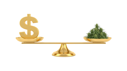 Golden Scale Balancing Dollar Sign and a Stack of Marijuana Buds