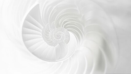 Obraz premium Abstract spiral shell