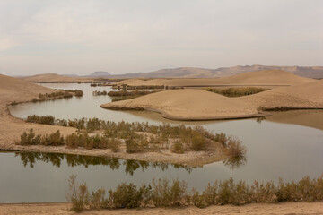 Serene desert lakes near Yazd, Iran, surrounded by golden dunes and sparse vegetation under a moody sky—nature’s rare harmony in an arid landscape.