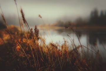 Obraz premium moody, dramatic nature scene, soft focus, autumn colors 