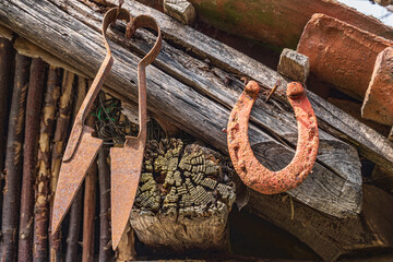 Rusted antique sheep shears and an old horse shoe.