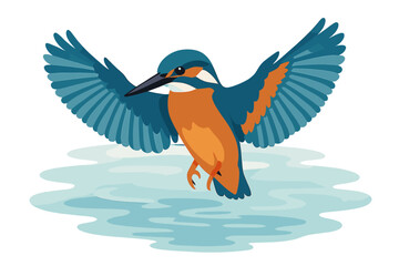 Obraz premium A kingfisher in flight over water prepares to seize fish within its natural habitat