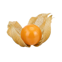 Vibrant golden physalis berry nestled in delicate papery husk, a healthy exotic fruit for culinary inspiration
