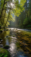 River Flowing Through Verdant Forest with Green Mossy Rocks