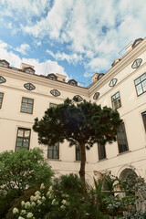 Full view of a Vienna courtyard featuring a tall lush tree, surrounding arched passages, windows, mansard roof, and a clear sky with white clouds.