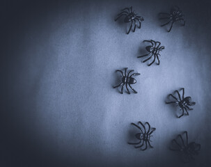black spiders on a dark background with space for text