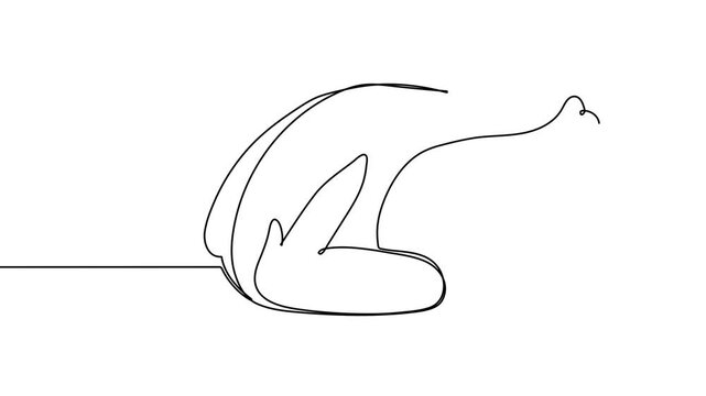 Whole roast chicken, continuous line, self-drawn animation