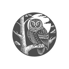  Owl Perched on a Tree Branch