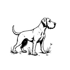 Elegant monochrome depiction of a canine companion displaying its strong posture and attentiveness