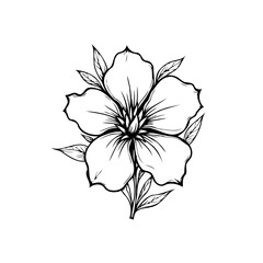 Elegant floral line art illustration showcasing a blooming flower with surrounding leaves with