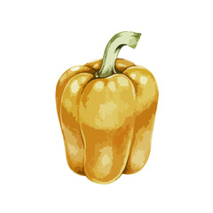 Yellow Bell Pepper Watercolor Vegetable Illustration