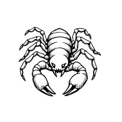 Monochrome depiction of arachnid with menacing pincers and segmented body a detailed graphic
