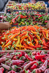 Fresh red, orange, green, and yellow chili peppers for sale at a market in Nish.