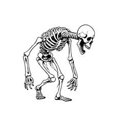 Stylized human skeleton stooping forward illustration in monochrome, isolated against a white