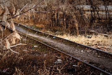 Abandoned Railway Tracks in Autumn