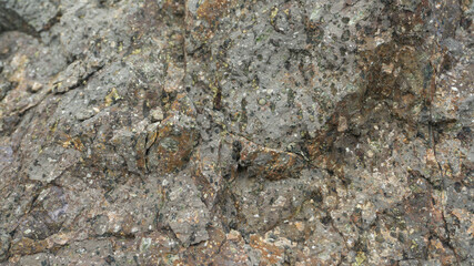 Cracked Porous Earthy Texture Background