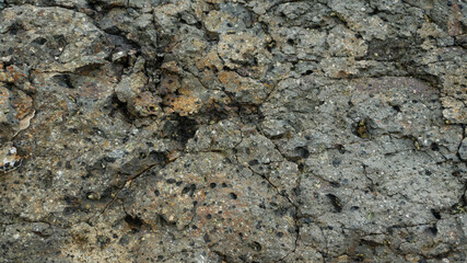 Cracked Porous Earthy Texture Background