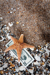 Starfish Centered Among Seashells with Cash and Calculator on Beach Sand