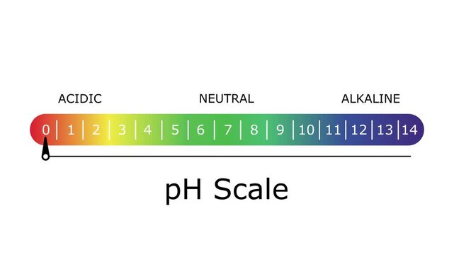pH Scale Diagram Animation Acidic to Alkaline Levels, Educational pH Scale Infographic Animation